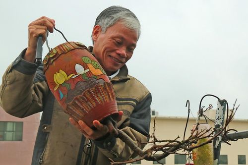 Chiêm ngưỡng vườn bonsai mọc ngược của 'dị nhân' xác lập kỷ lục Việt Nam
