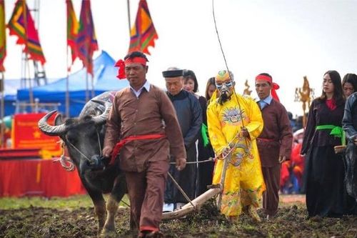 Vẽ trâu cho vua cày ruộng