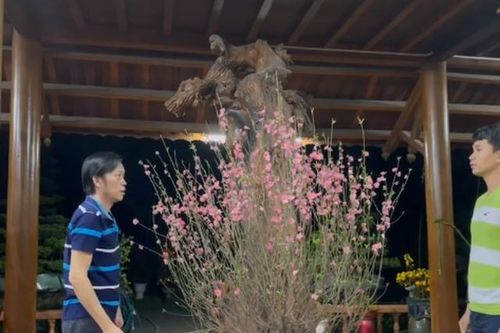 Tik Tok ngày Tết của Hoài Linh 'đốn tim' cộng đồng mạng
