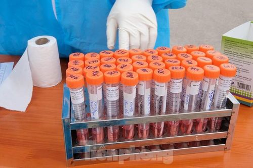 Hải Dương thêm 10 ca dương tính SARS-CoV-2