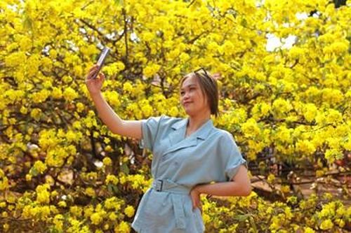Cây mai 'khủng' ở Đồng Nai có gì đẹp khiến du khách thập phương kéo đến tận mắt nhìn?