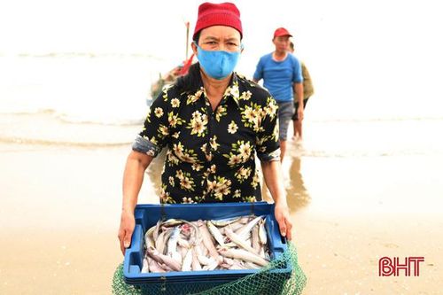 Ngư dân Nghi Xuân trúng đậm 'lộc biển' trong những ngày đầu năm