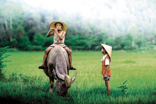 Con trâu trong văn hóa phương Đông