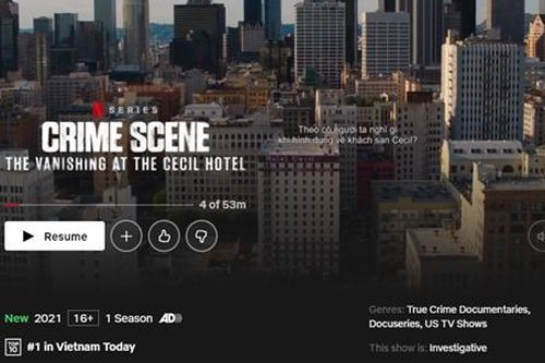Chiếm No.1 Netflix Việt Nam nhưng phim về vụ mất tích bí ẩn nhất thập kỷ lại bị chê tơi tả