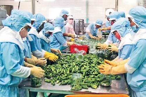 Chuyên gia kinh tế Phạm Chi Lan: Cường quốc nông nghiệp không thể còn trẻ em thấp còi