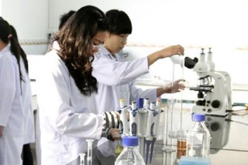 Thời điểm 'vàng' thu hút người tài vào khu vực công