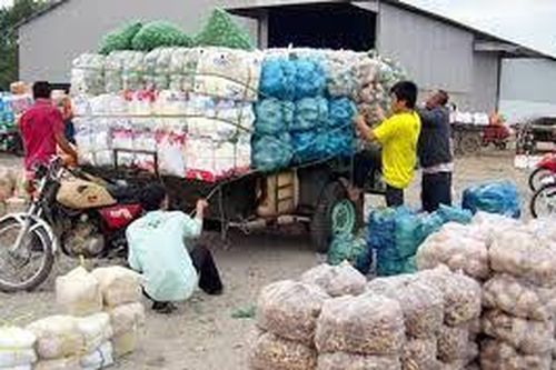 Tình hình xuất khẩu nông sản của các doanh nghiệp Lào sang thị trường Việt Nam