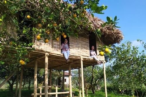 'Check-in' ở thiên đường cam Cao Phong
