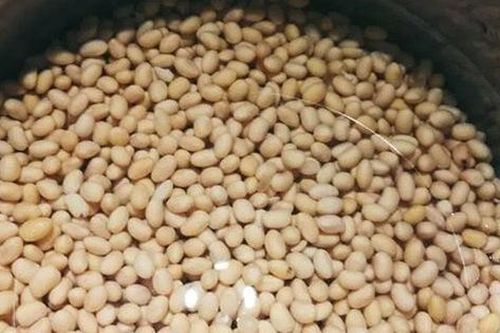 Tự làm tương hột đậu nành tha hồ ăn chay cả tháng nhiều món phong phú làm gì cũng ngon