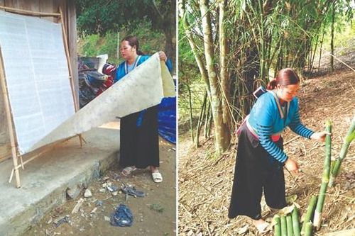 Khiết tinh giấy bản