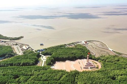 Đất Mũi không xa