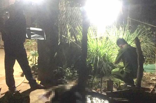 Bắt thanh niên đánh chết cha dượng