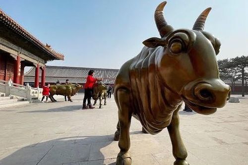 Trâu đồng trong Tử Cấm Thành hút khách chụp ảnh