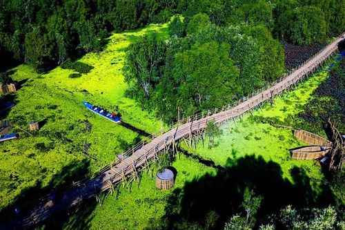 Khách du xuân rừng tràm Trà Sư, check-in cầu tre dài nhất Việt Nam