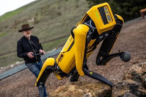 'Chó robot' di chuyển linh hoạt sẽ được đưa lên thám hiểm Sao Hỏa