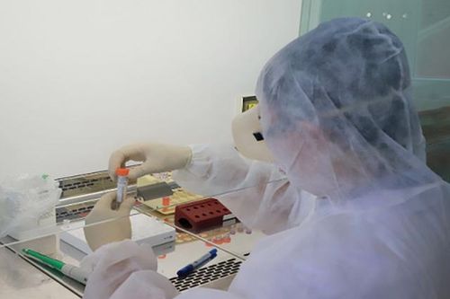 TP.HCM lấy mẫu tầm soát COVID-19 hành khách đến từ 3 sân bay phía Bắc