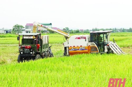 Nhân rộng những mô hình khuyến nông hiệu quả