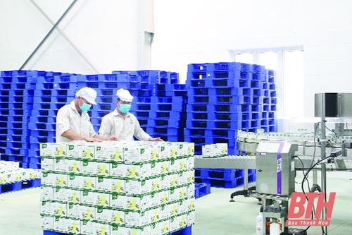 Vượt khó trong đại dịch