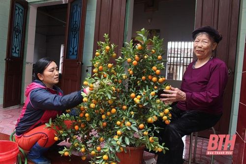 Tết ở 'làng góa bụa'…