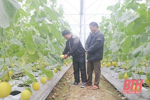 Phát huy vai trò nêu gương của cán bộ, đảng viên ở thị trấn Thiệu Hóa