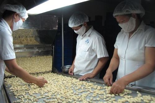 Nhập khẩu hàng hóa tăng hơn 1,5 lần