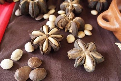 Ăn nhiều các loại hạt khô vào dịp Tết coi chừng tăng cân 'không phanh'