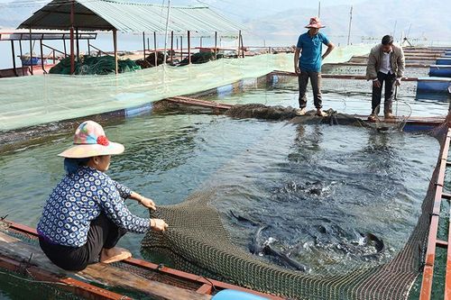 Sơn La có thêm tám xã đạt chuẩn nông thôn mới