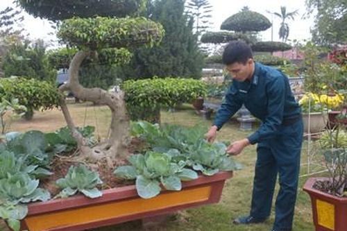 Quyết tâm 'không cho đất nghỉ'