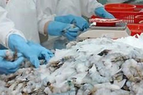 Hoa Kỳ hủy bỏ thuế chống phá giá tôm của Tập đoàn Thủy sản Minh Phú