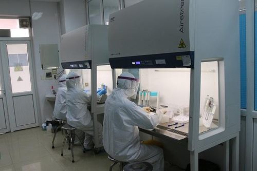 Công suất xét nghiệm SARS-CoV-2 của Bệnh viện Dã chiến 2 tăng lên 4 lần so với trước