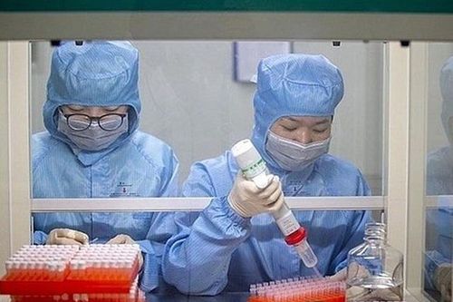 BN2229 người Nhật Bản rất ít có khả năng nhiễm Covid-19 từ Hà Nội