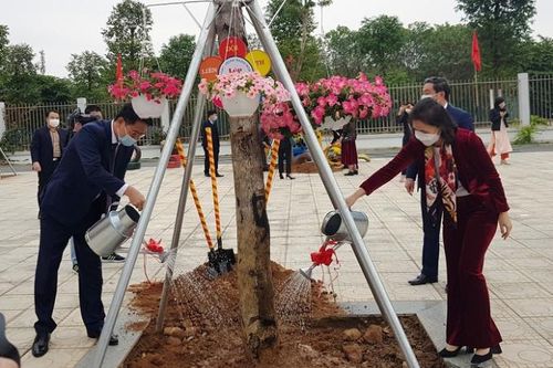 Phấn đấu trồng mới 200.000 - 250.000 cây bóng mát, cây lấy gỗ trên các tuyến đường đô thị
