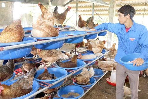 Tín dụng chính sách - Nguồn lực quan trọng xây dựng nông thôn mới