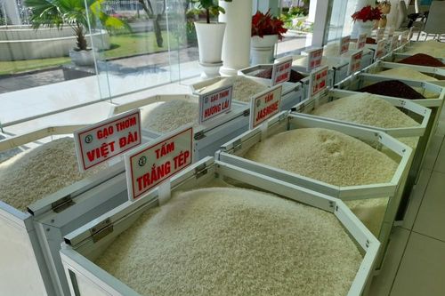 Xuất khẩu gạo đầu năm 2021 'hạ nhiệt'