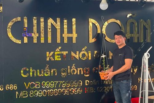 Doãn Chinh và niềm đam mê với hoa phong lan