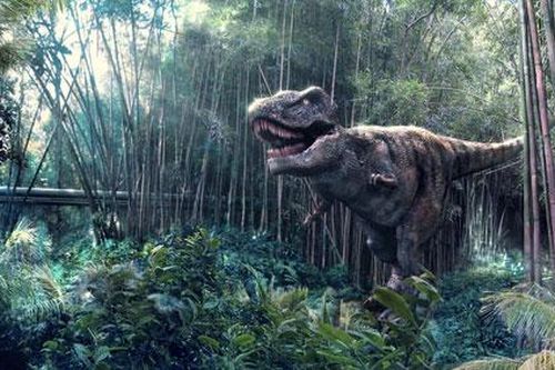 Khủng long ngừng tiến hóa trước khi bị tuyệt chủng