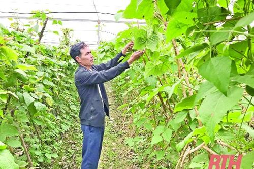 Ninh Khang hướng tới xây dựng xã nông thôn mới nâng cao