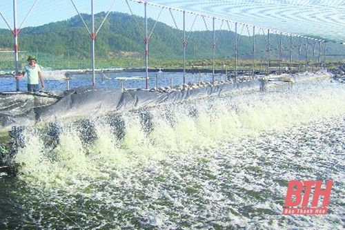 Xây dựng nông thôn mới gắn với phát triển sản xuất, nâng cao đời sống Nhân dân trên quê hương Hậu Lộc