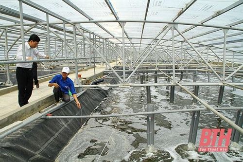 Chủ động con giống nuôi trồng thủy sản vụ xuân hè