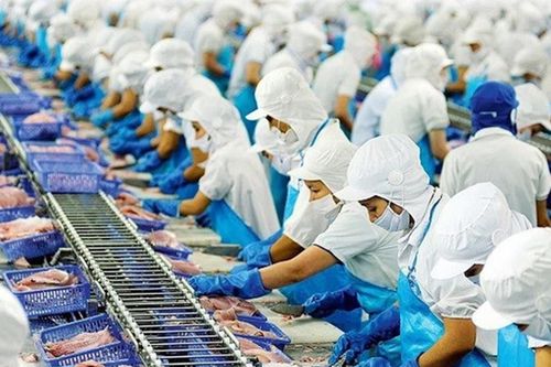 Vĩnh Hoàn góp 70 tỷ đồng lập công ty sản xuất nước ép