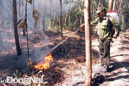 Huyện Xuân Lộc: Nguy cơ cháy rừng tăng cao