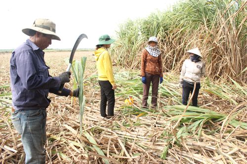 'Tăng tốc' sản xuất kinh doanh ngay sau Tết