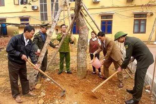 Tích cực hưởng ứng 'Tết trồng cây đời đời nhớ ơn Bác Hồ'