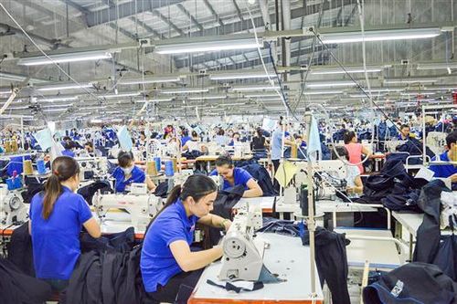 Doanh nghiệp đặt nhiều kỳ vọng trong năm 2021