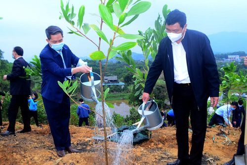 Yên Sơn phát động Tết trồng cây xuân Tân Sửu 2021