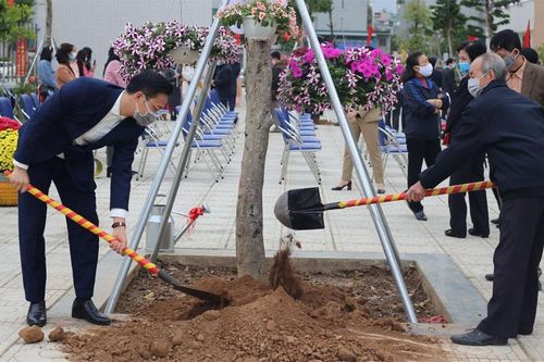 Các địa phương ra quân tổ chức Tết trồng cây Xuân Tân Sửu