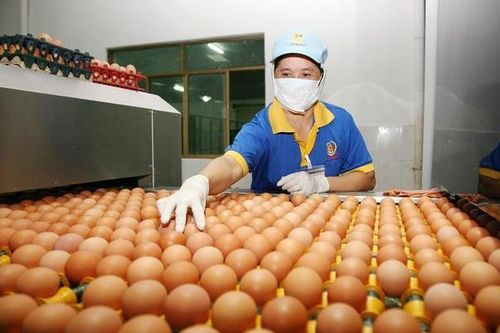 Nông nghiệp Hà Nội: Lấy công nghệ cao làm đột phá