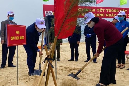 Phó Chủ tịch nước phát động Tết trồng cây Xuân Tân Sửu
