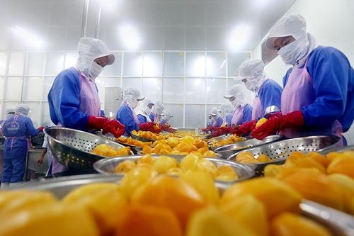 Xây dựng chuỗi giá trị cho sản phẩm nông nghiệp