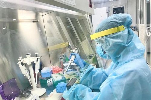 Hơn 1.000 mẫu xét nghiệm nhân viên bốc xếp sân bay Tân Sơn Nhất âm tính COVID-19